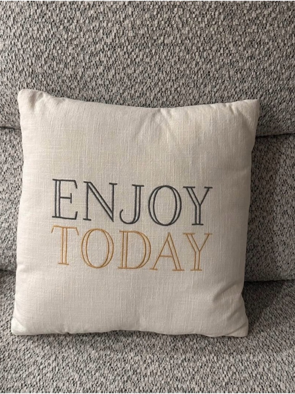 Enjoy Today Threshold Target Pillows